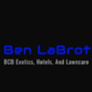 Meet your Posher, Ben